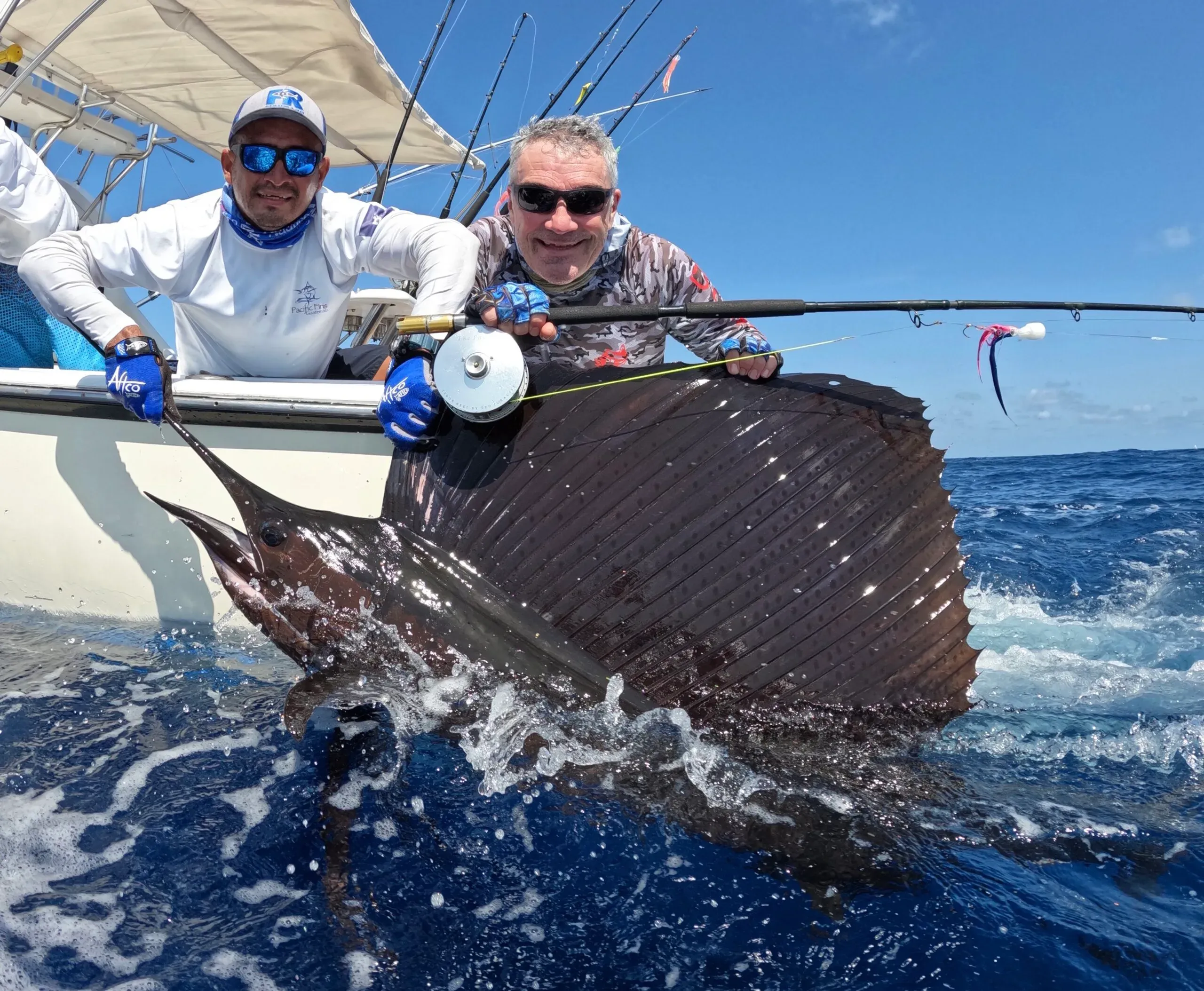 Sailfish Guatemala